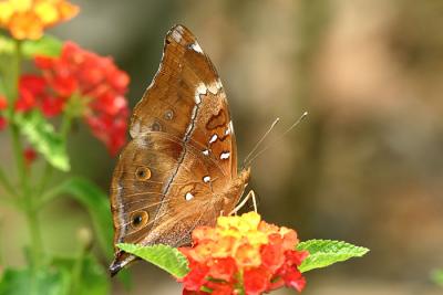 CRW_9318a.jpg