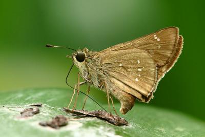 CRW_9340a.jpg