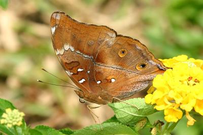 CRW_9363a.jpg