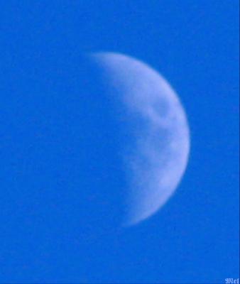 (once in a blue) moon.jpg