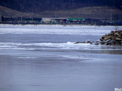 Ice build-up on the Illinois River.jpg(641)