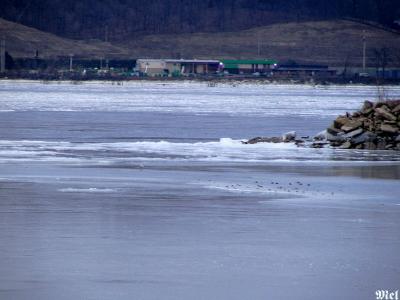 Ice build-up on the Illinois River.jpg(641)