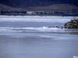 Ice build-up on the Illinois River.jpg(641)