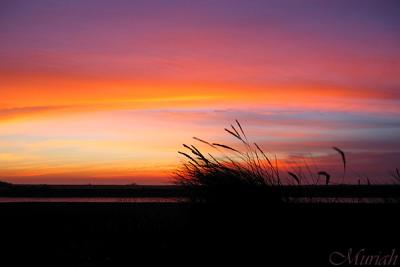 Solstice Sunset Sandgrass (12-21-04)