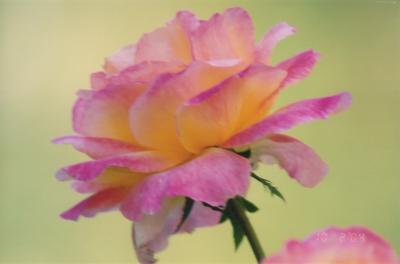 Just-Pics-090.jpg