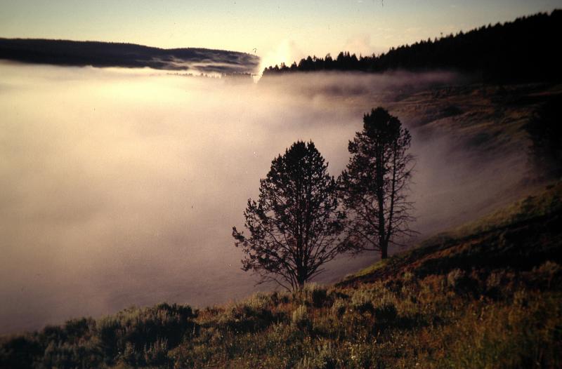 Yellowstone.Wyoming