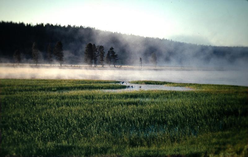 Yellowstone.Wyoming