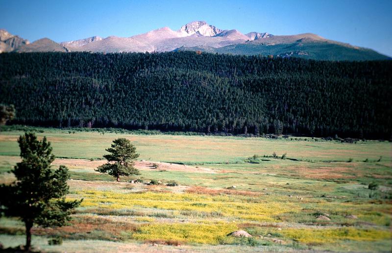 Rocky Mountain.Colorado