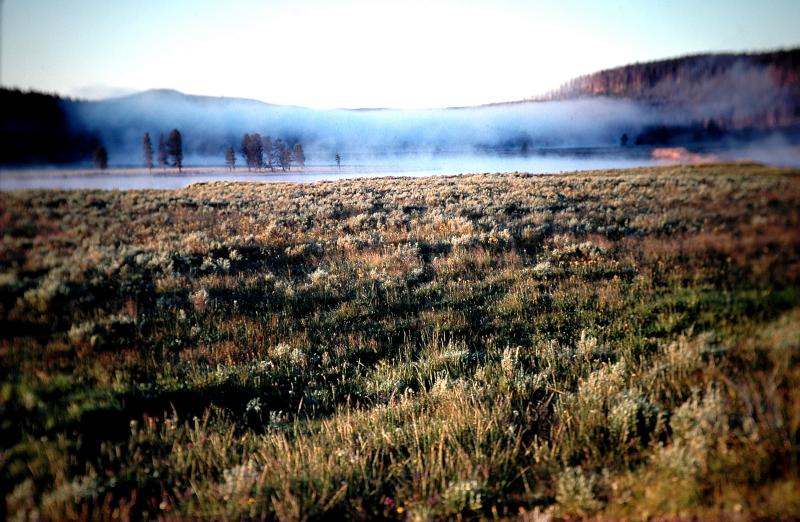 Yellowstone.Wyoming