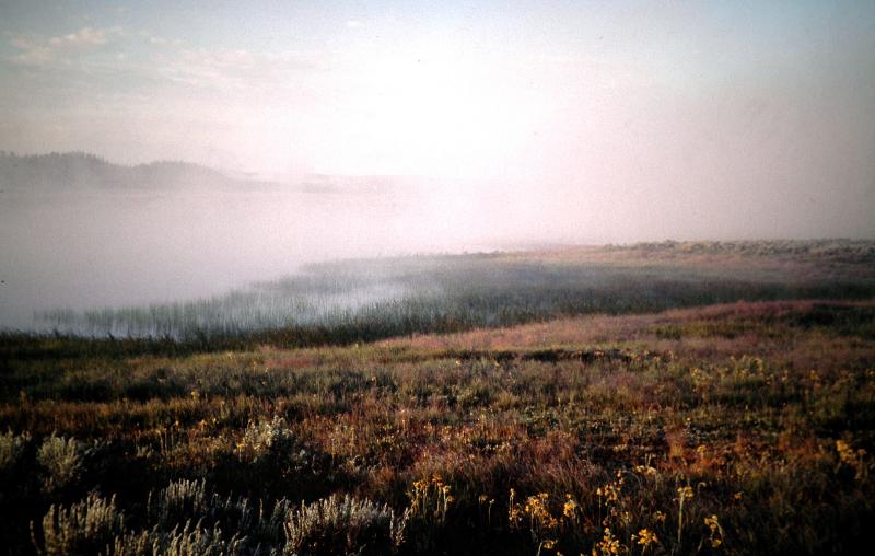 Yellowstone.Wyoming
