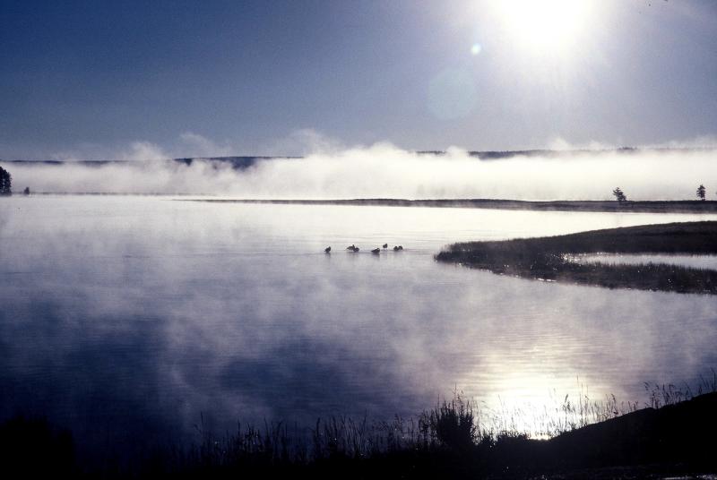 Yellowstone.Wyoming