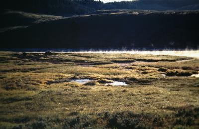 Yellowstone.Wyoming