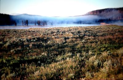 Yellowstone.Wyoming