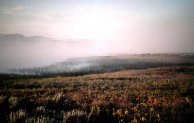 Yellowstone.Wyoming