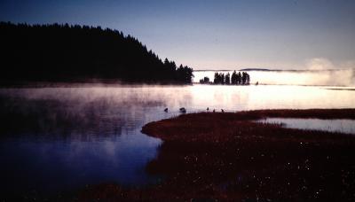 Yellowstone.Wyoming