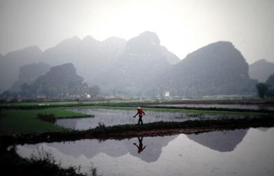 Hoa lu.Ninh Binh