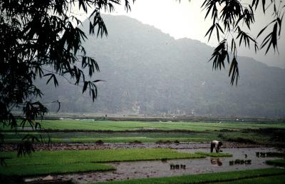 Hoa Lu .Ninh Binh