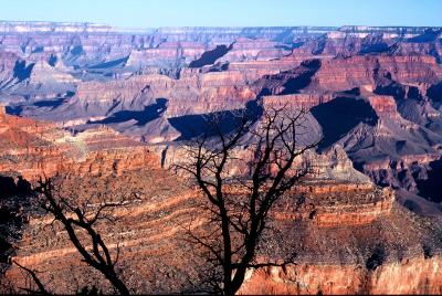 Grand Canyon.Arizona