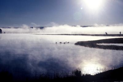Yellowstone.Wyoming