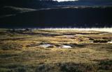 Yellowstone.Wyoming