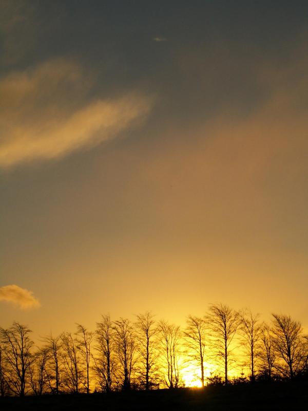 Pict0017a.jpg