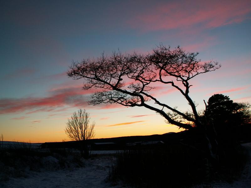 Pict0078.jpg