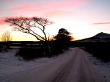 PICT0074a.jpg