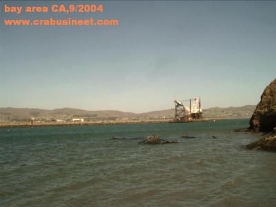 bay ca.JPG