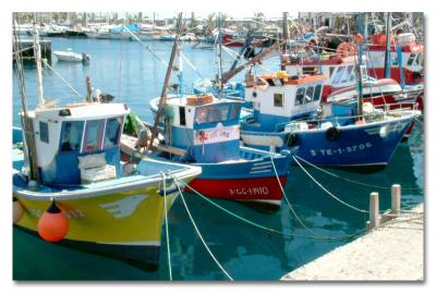Fishing Boats Lined Up