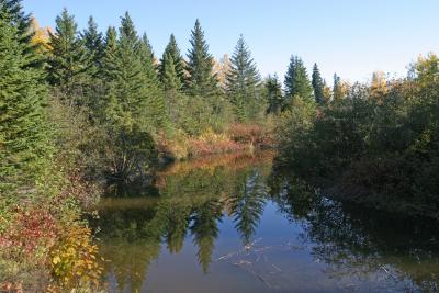 Aidie Creek near Englehart