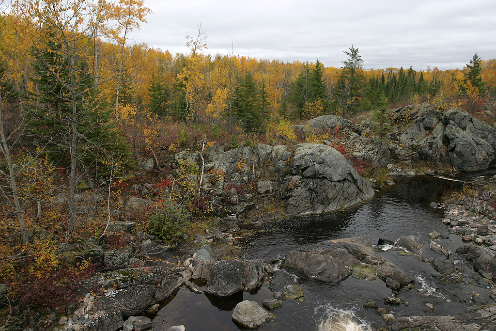 Muted colours of Northern Ontario Fall