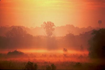 Lisle Sunrise