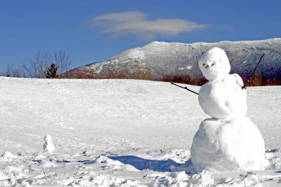 Two Snow-Men.jpg