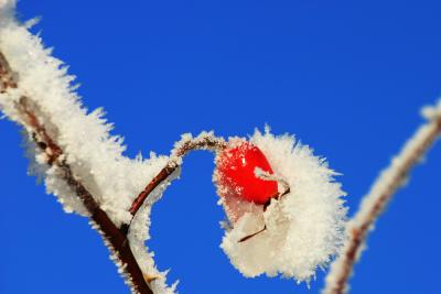 Blue, white and red (corrected)