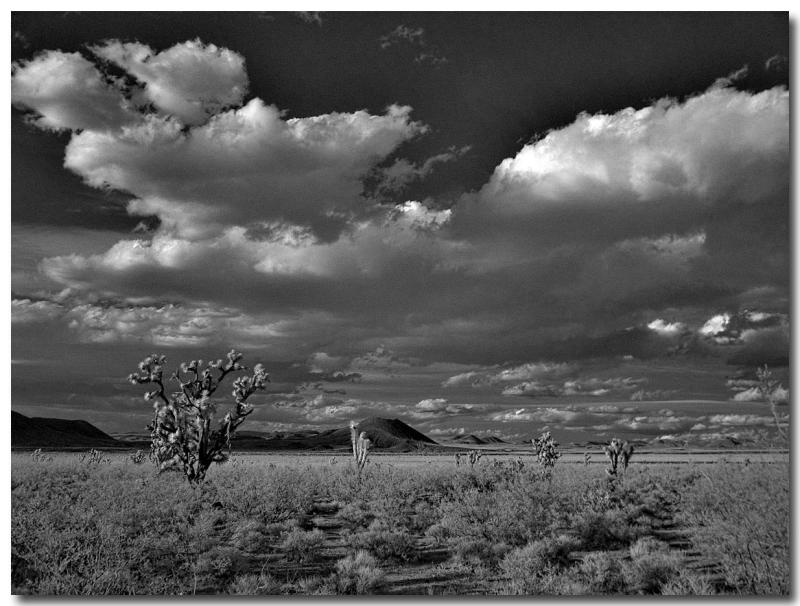 Mojave Desert (IR)