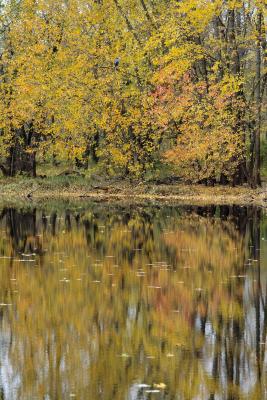 Minnesota Fall