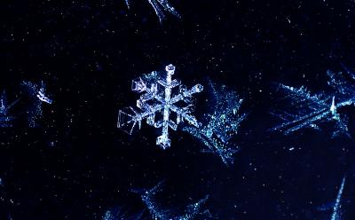 [1st] Snowflake