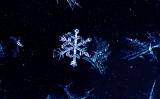 [1st] Snowflake