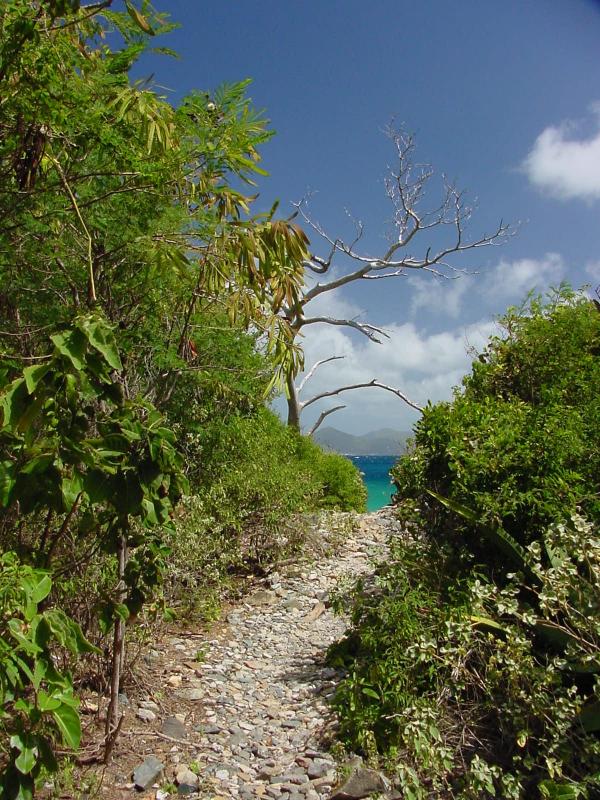 Trail at Haulover