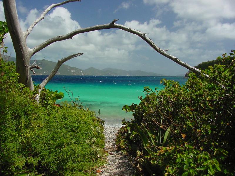 St. John, USVI at Haulover.  The best shot of the trip