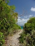 Trail at Haulover