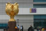 Golden Bauhinia