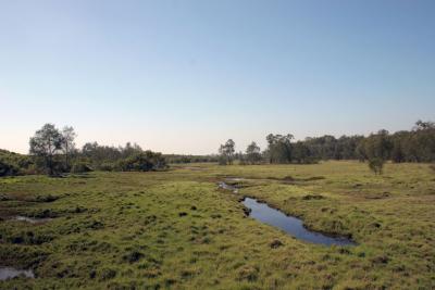 Boondall Wetlands