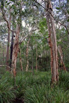 Nature Reserve