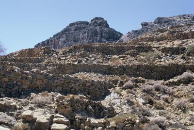 Abandonned village, terraces walls