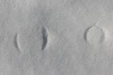 2004-12-21: Snow Punctuation