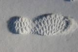 2004-12-22: Snow Shoe