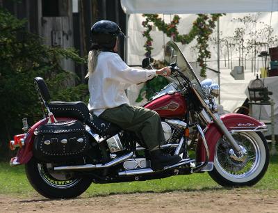 u6/pstewart/medium/37627671.bg12.jpg