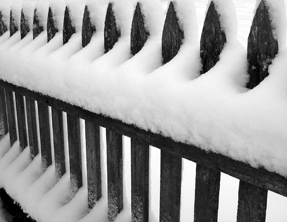 Snow on Fence