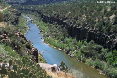 Salt River Canyon